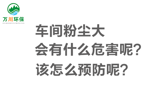 車間粉塵大會(huì)有什么危害呢？該怎么預(yù)防呢？